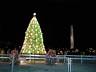 National Christmas Tree